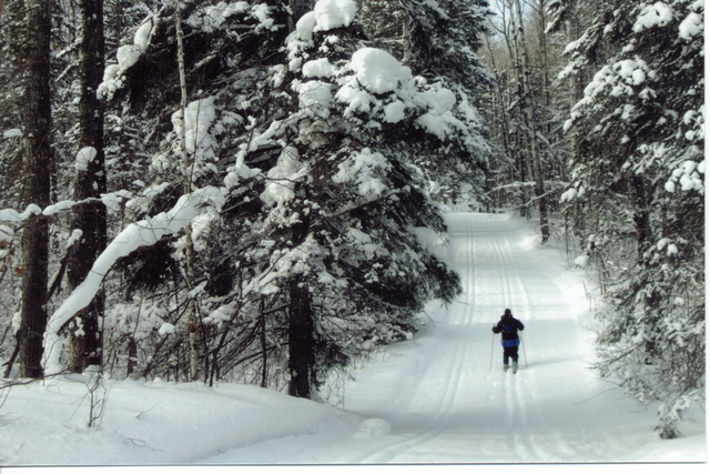 Large_5b sports - winter trek